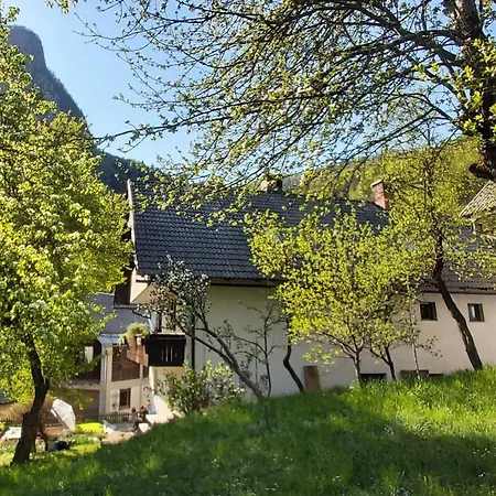Apartmaji Pekovec Apartamento *