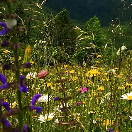 Apartmaji Pekovec Appartement Bohinj