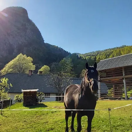 Apartmaji Pekovec Appartement Bohinj