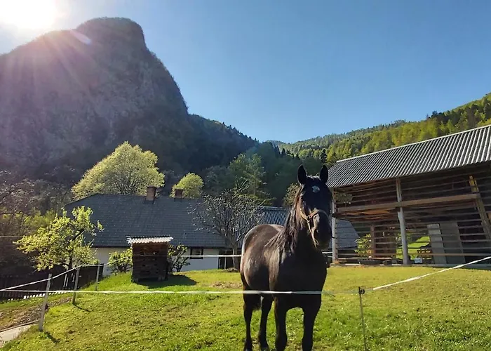 Apartmaji Pekovec דירה בוהין