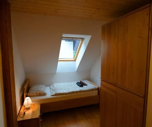 Apartmaji Pekovec בוהין